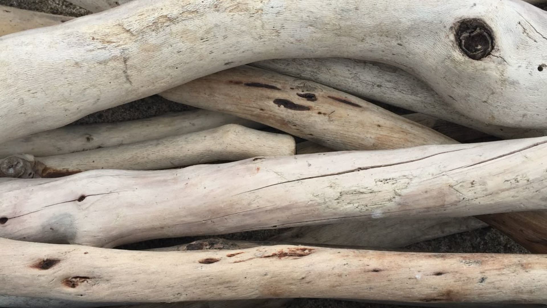Stacked driftwood