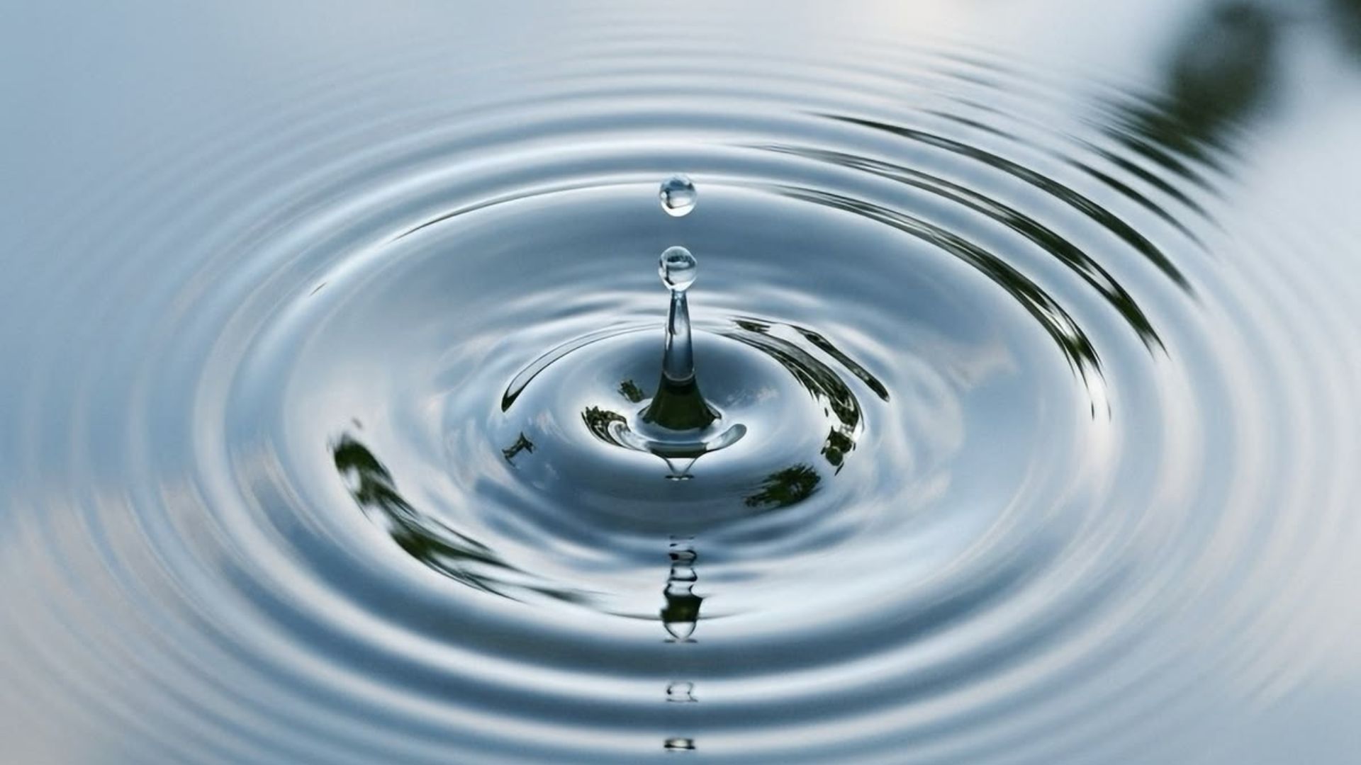A single water drop and ripples